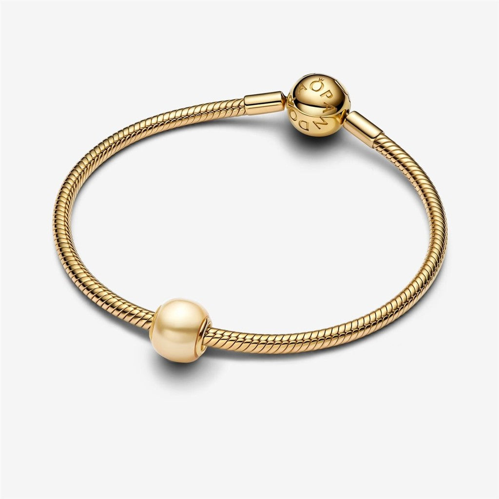 Pandora Moments Golden Charm