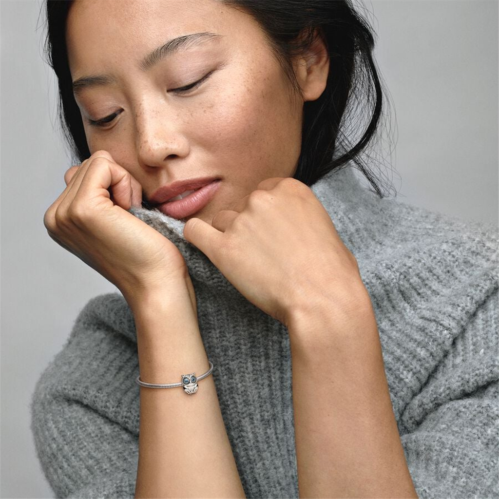 Pandora Moments Sparkling Owl Charm