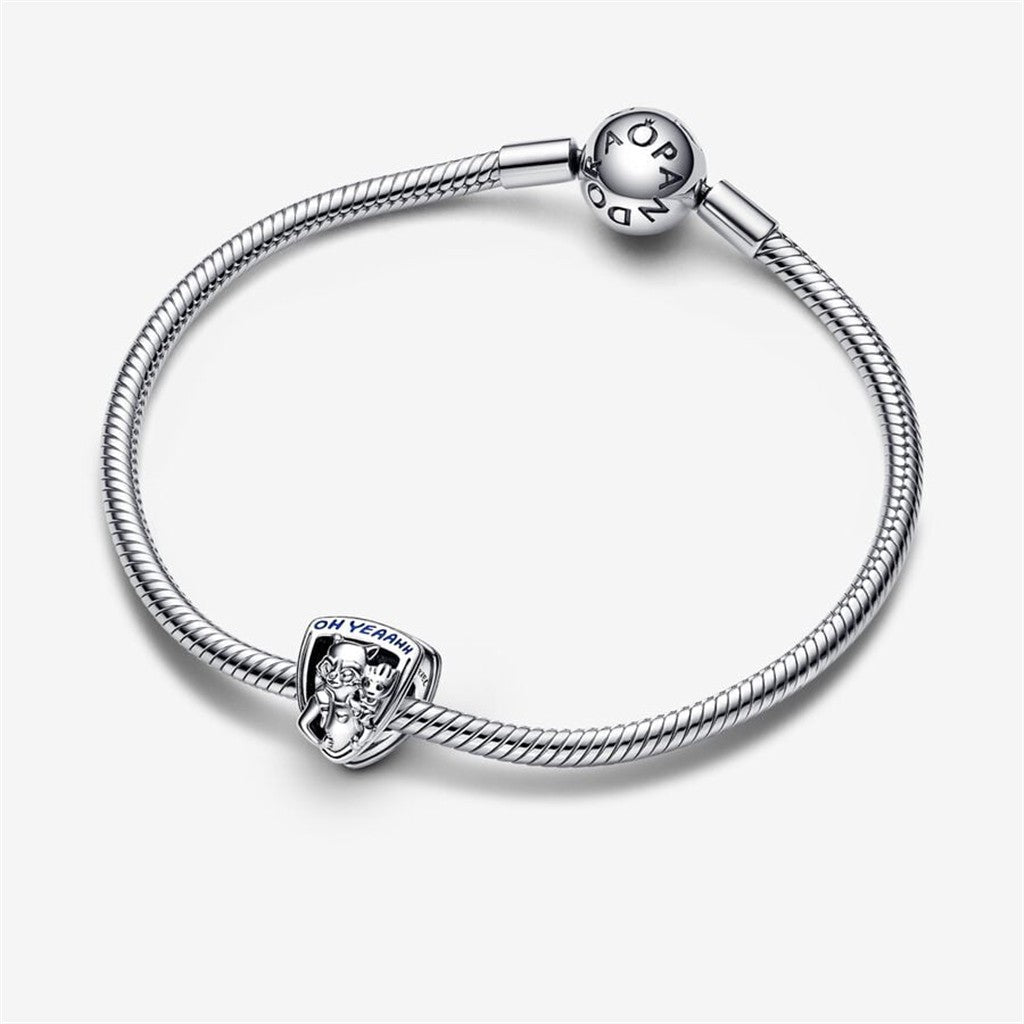 Pandora Marvel Guardians of the Galaxy Rocket Raccoon & Groot Emblem Charm