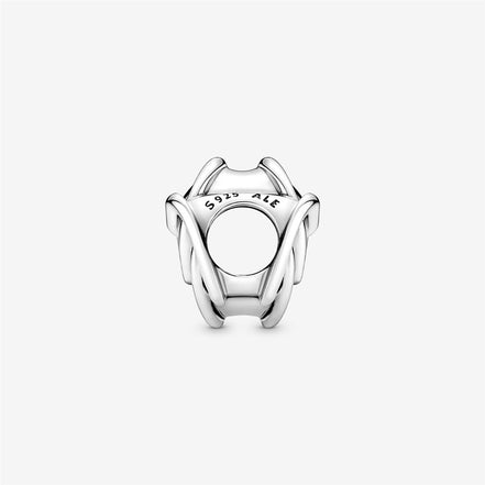 Pandora Moments Family Always Together Encircled Heart Charm