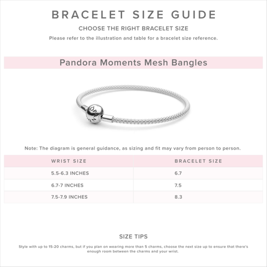 Pandora Moments Rose Mesh Charm Bracelet Size 21