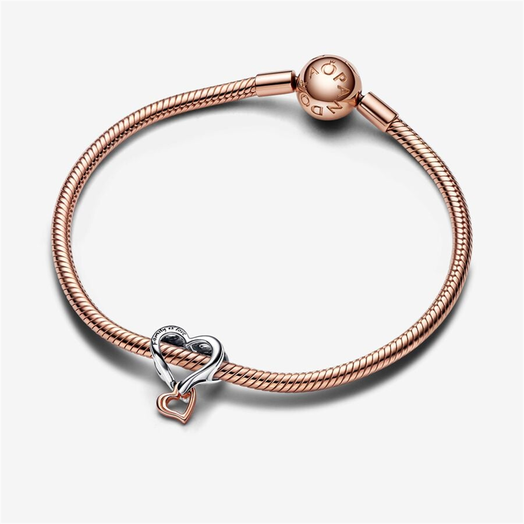 Pandora Moments Two-Tone Family Openwork Infinity Heart Charm