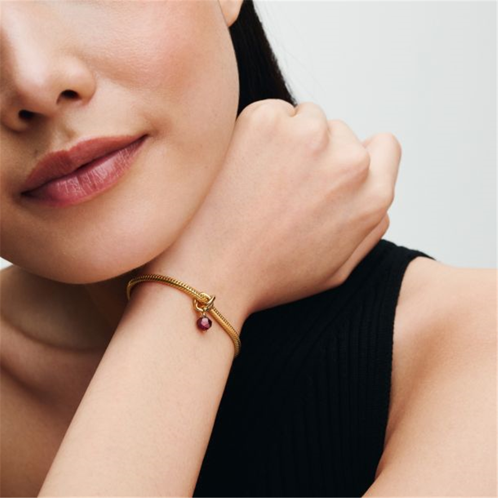 Pandora Moments January Birthstone Faceted Red Eternity Circle Dangle Charm