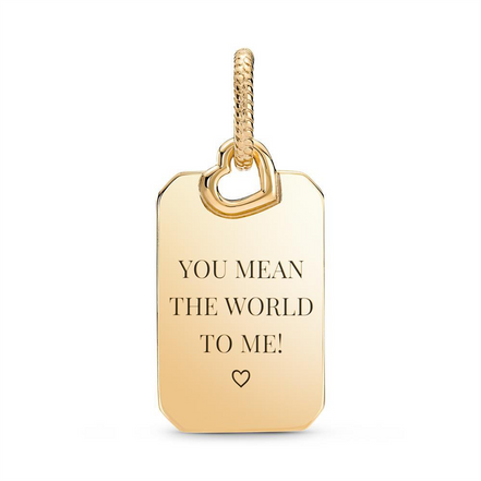 Pandora ME/Moments Engravable Rectangle Tag Pendant