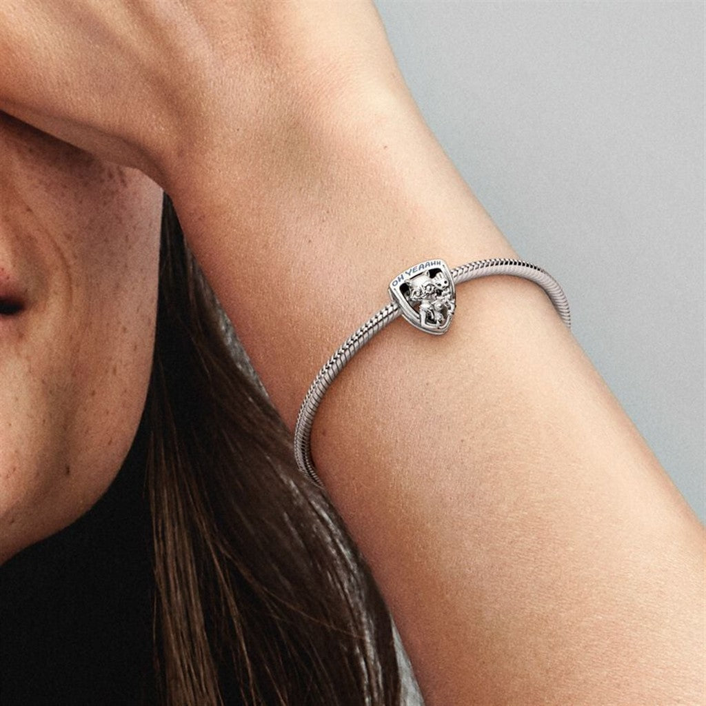 Pandora Marvel Guardians of the Galaxy Rocket Raccoon & Groot Emblem Charm