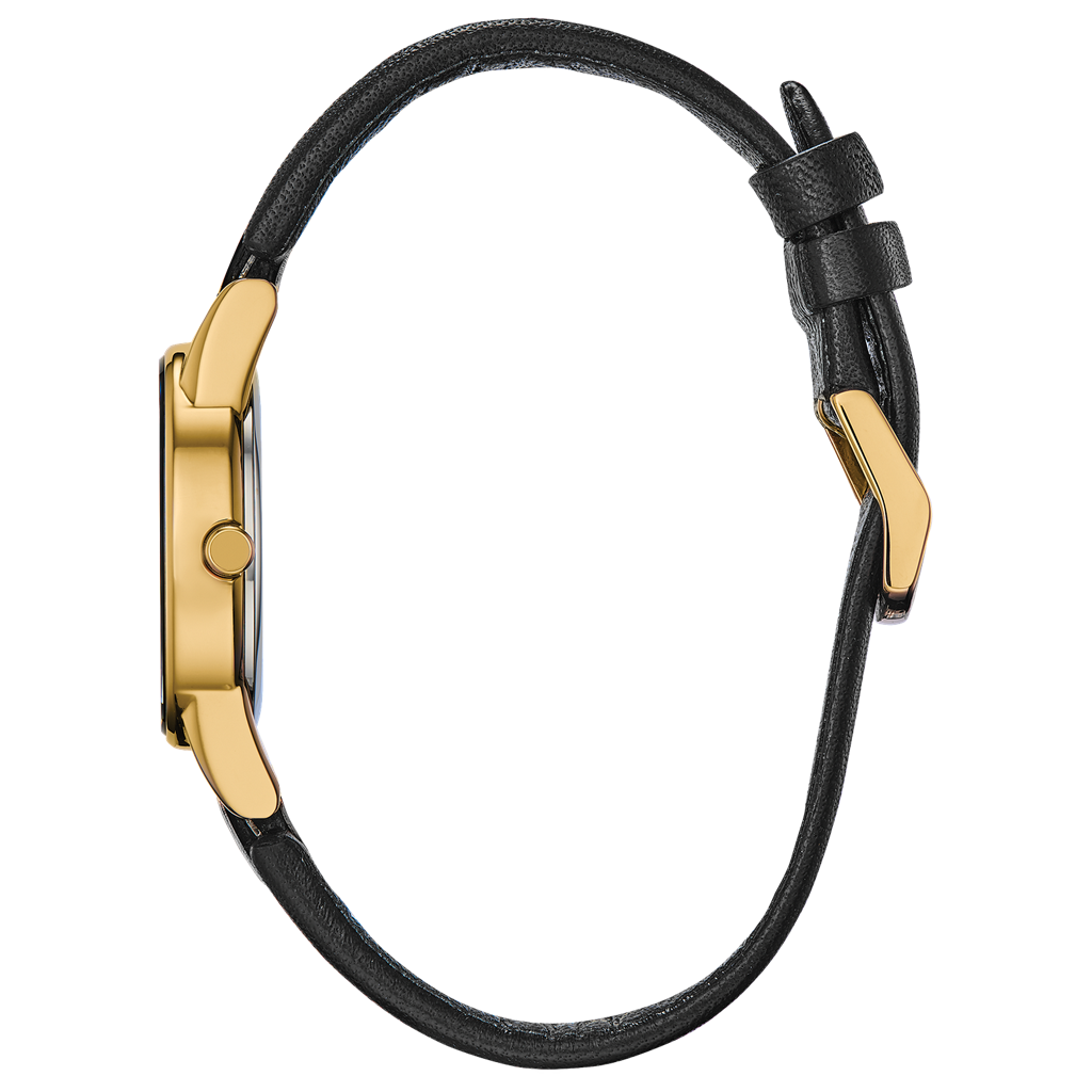 Citizen Ladies' Eco-Drive Axiom Gold-Tone Black Leather Strap Watch