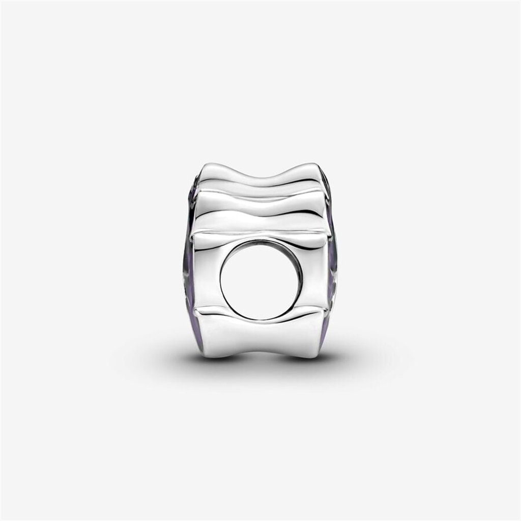 Pandora Moments Purple And  Green Leaf Charm