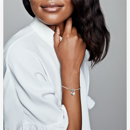 Pandora Moments Aunt And Niece Split Heart Dangle Charm