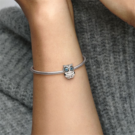 Pandora Moments Sparkling Owl Charm