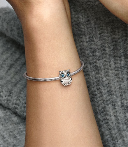 Pandora Moments Sparkling Owl Charm