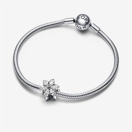 Pandora Timeless Sparkling Herbarium Cluster Charm