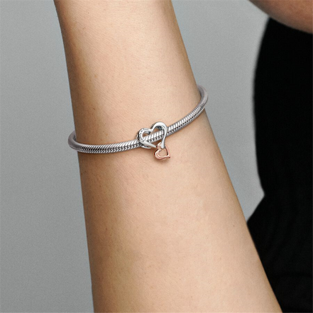 Pandora Moments Two-Tone Family Openwork Infinity Heart Charm