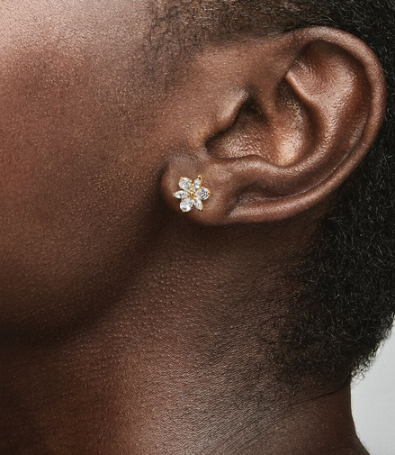 Pandora Timeless Sparkling Herbarium Cluster Stud Earrings
