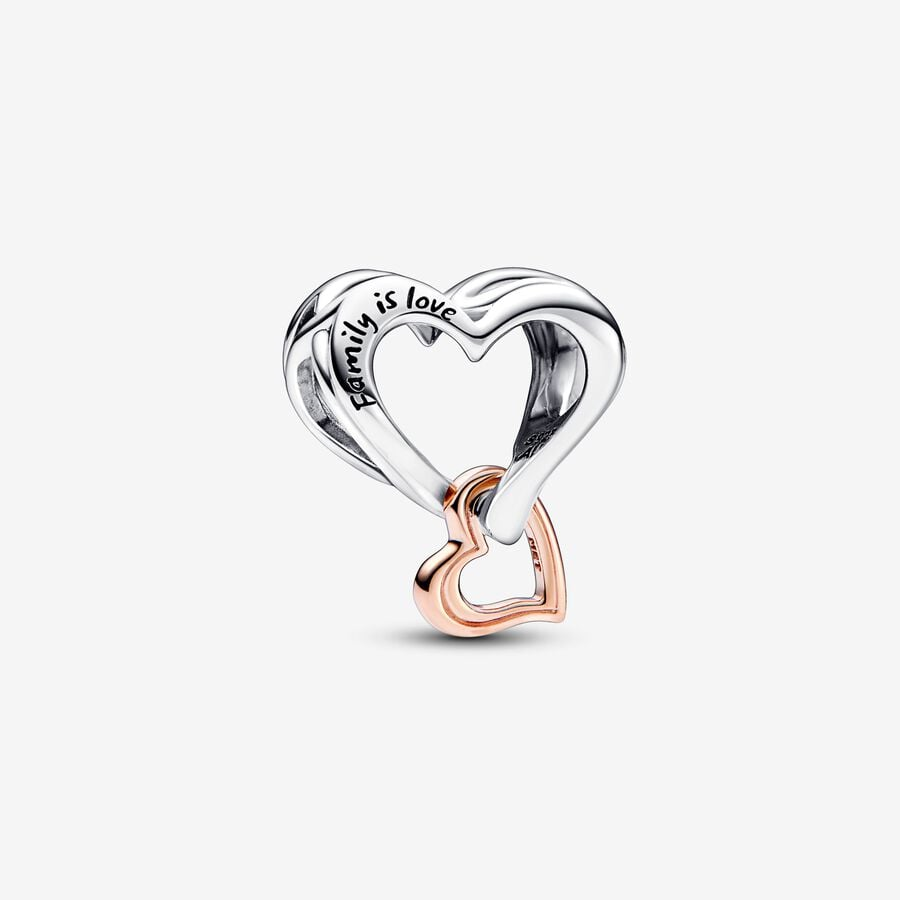 Pandora Moments Two-Tone Family Openwork 