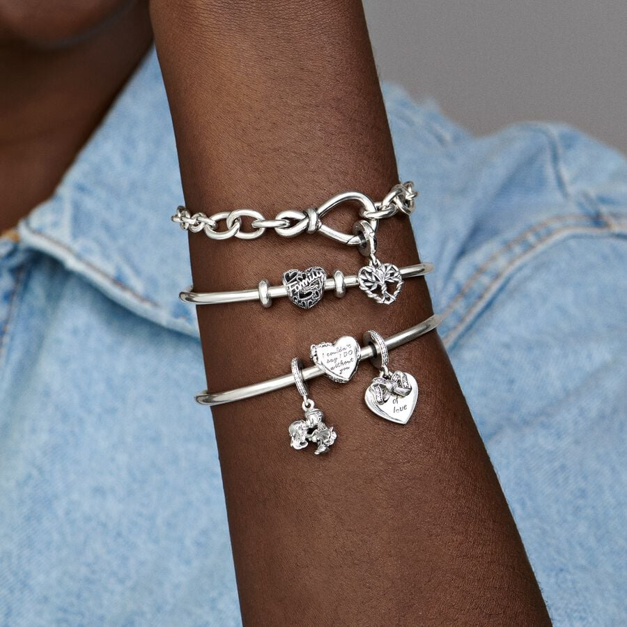 Pandora Moments Silver 