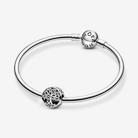 Pandora Moments Silver  Openwork Family Roots Charm