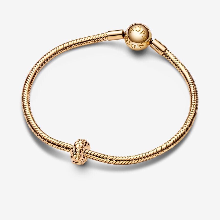Pandora Moments Studded Clip Charm