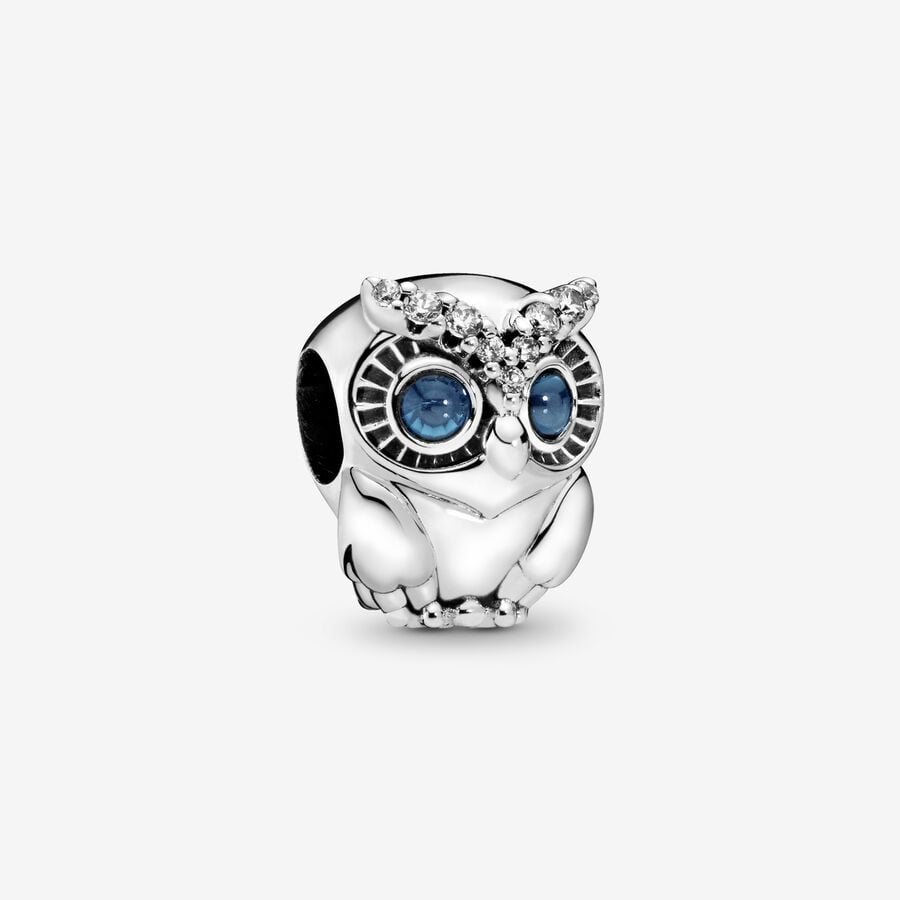 Pandora Moments Sparkling Owl Charm