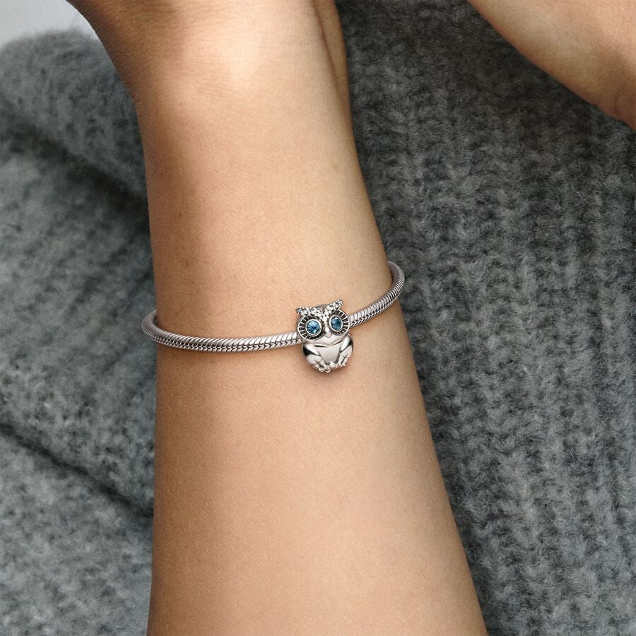 Pandora Moments Sparkling Owl Charm