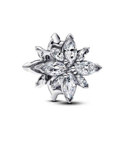 Pandora Moments Sparkling North Star Charm