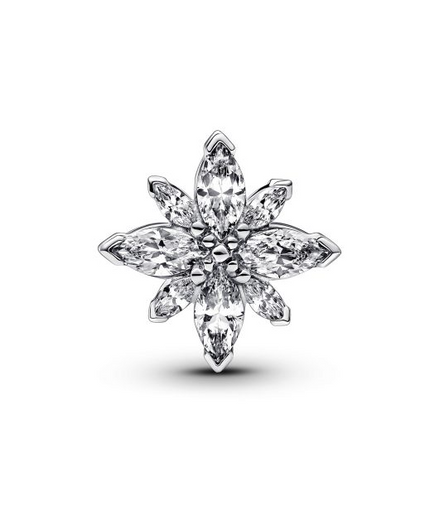 Pandora Moments Sparkling North Star Charm