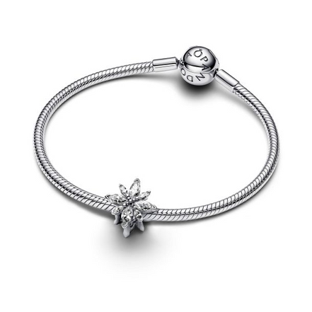 Pandora Moments Sparkling North Star Charm