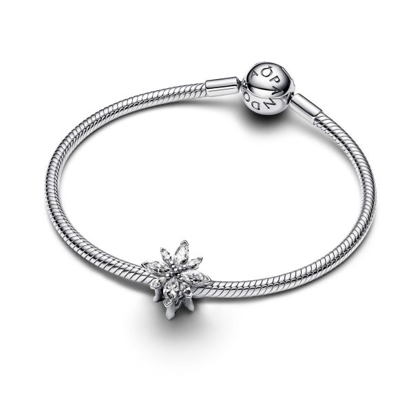 Pandora Moments Sparkling North Star Charm