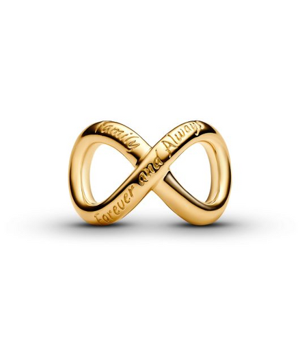 Pandora Moments 14K Gold-Plated "Family  Forever And Always" Infinity Charm