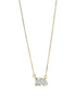 14K Yellow Gold 1 CTW Lab Grown Diamond Toi et Moi Pendant Necklace