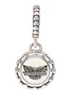 Pandora Custom Carolina Thunderbirds Dangle Charm