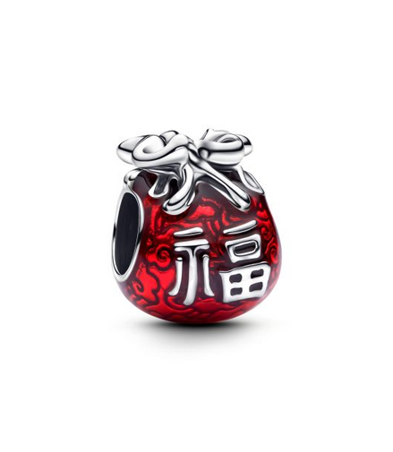 Pandora Moments Lucky Bag Charm