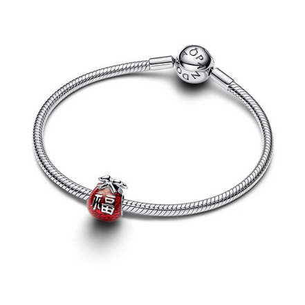 Pandora Moments Lucky Bag Charm