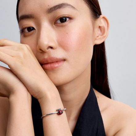 Pandora Moments Lucky Bag Charm