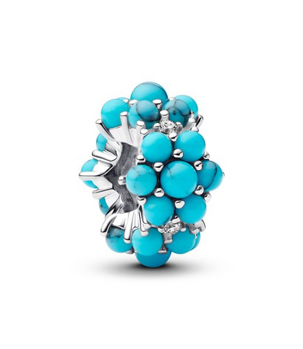 Pandora Moments Turquoise-Colored Ocean Charm