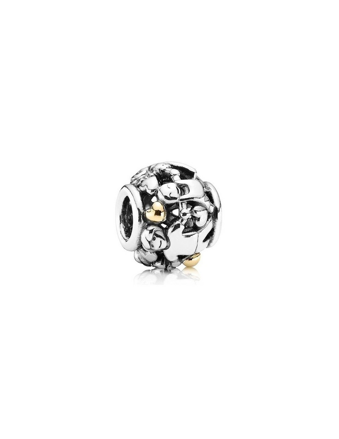 Pandora Family Forever Charm