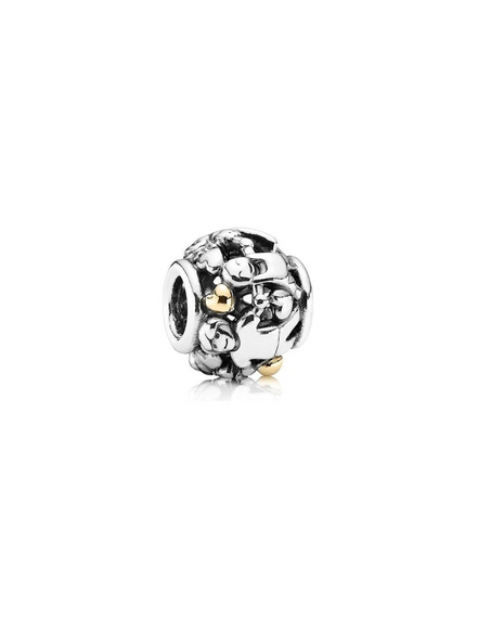 Pandora Family Forever Charm