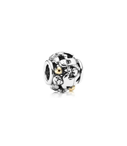 Pandora Family Forever Charm
