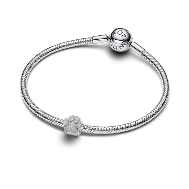 Pandora Textured Paw Mini Charm