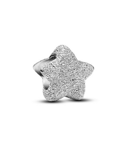 Pandora Textured Star Mini Charm