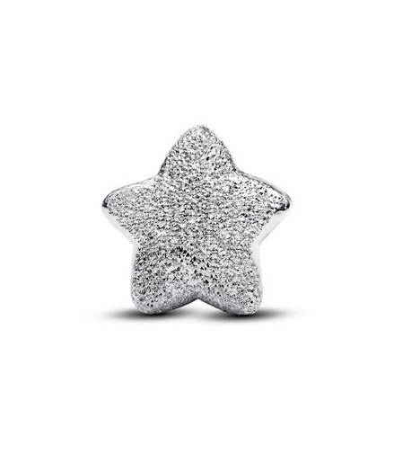 Pandora Textured Star Mini Charm