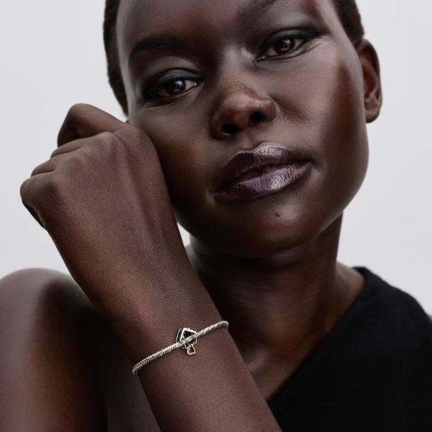 Pandora Home & Heart Two-Tone Charm