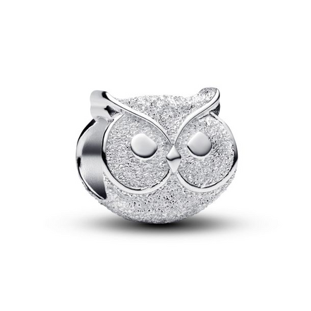 Pandora Moments Textured Owl Mini Charm