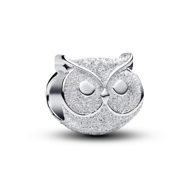 Pandora Moments Textured Owl Mini Charm