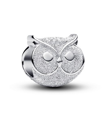 Pandora Moments Textured Owl Mini Charm