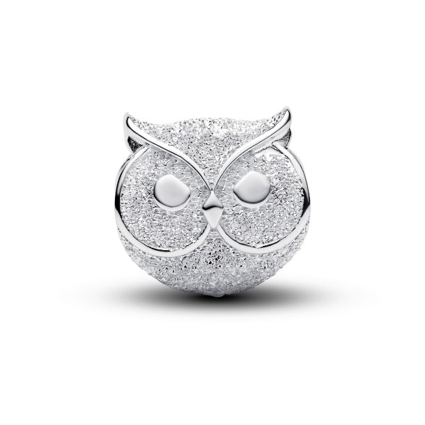 Pandora Moments Textured Owl Mini Charm