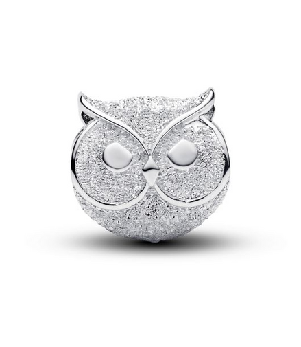 Pandora Moments Textured Owl Mini Charm