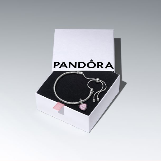 Pandora Moments silver 
