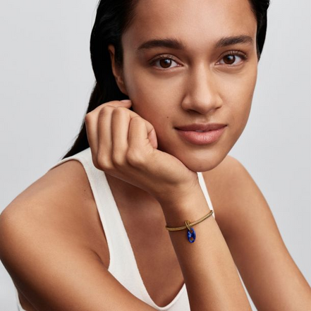 Pandora Moments 14K Gold-Plated Mariner Link Dangle Charm