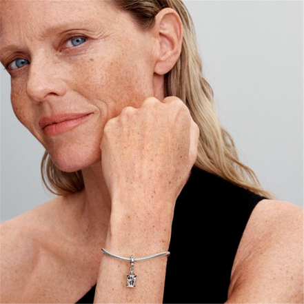 Pandora Moments Spinning Carousel Dangle Charm