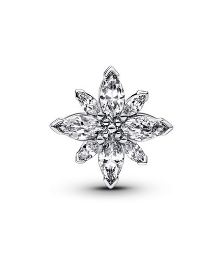 Pandora Moments Sparkling North Star Charm